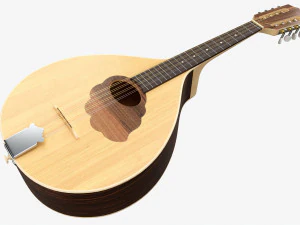 Flat Mandola 3D Model