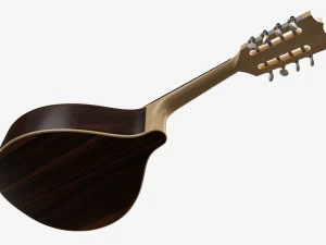 Flat Mandola 3D Model