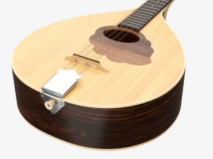 Flat Mandola 3D Model