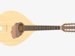 Flat Mandola 3D Model