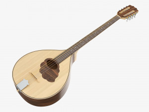 Irish Bouzouki String Instrument 3D Model