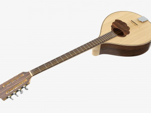 Irish Bouzouki String Instrument 3D Model