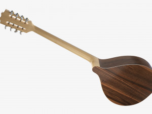 Irish Bouzouki String Instrument 3D Model
