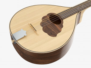Irish Bouzouki String Instrument 3D Model