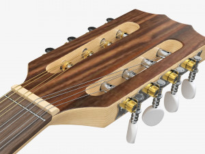 Irish Bouzouki String Instrument 3D Model