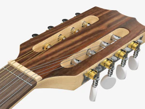 Irish Bouzouki String Instrument 3D Model
