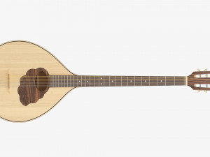 Irish Bouzouki String Instrument 3D Model