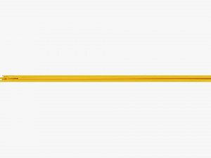 Spaghetti Pasta 3D Model