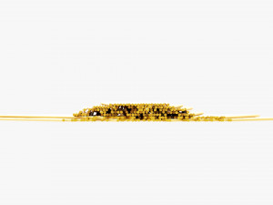 Spaghetti Pasta 3D Model