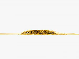 Spaghetti Pasta 3D Model