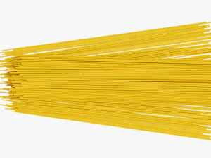 Spaghetti Pasta 3D Model