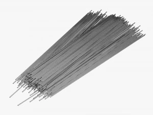 Spaghetti Pasta 3D Model