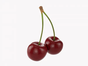 Cherry Double 3D Model