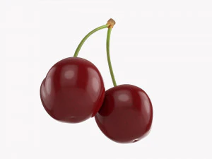 Cherry Double 3D Model