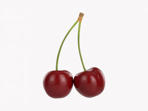 Cherry Double 3D 模型