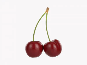 Cherry Double 3D Model