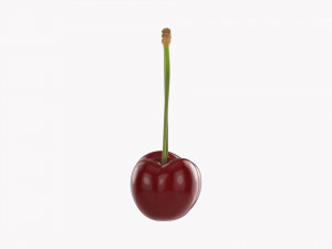 Cherry Double 3D 模型