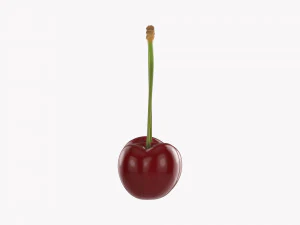 Cherry Double 3D Model