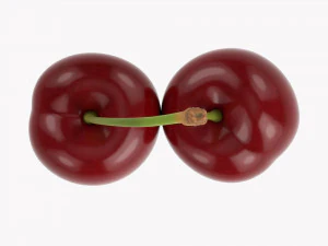 Cherry Double 3D Model