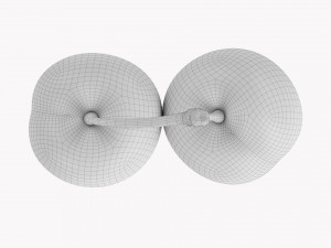 Cherry Double 3D 模型