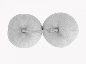 Cherry Double 3D Model