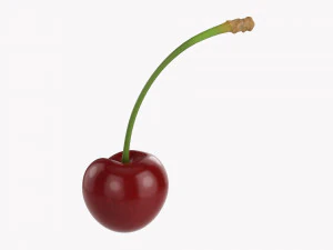 Cereja Individual Modelo 3D