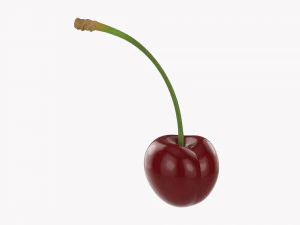 Cherry Single 3D Model