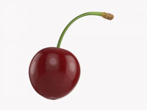 Cherry Single 3D Model