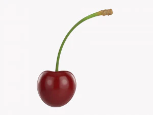 Cherry Single 3D Model