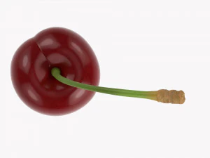 Cherry Single 3D Model