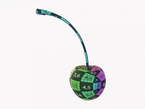 Cherry Single 3D Model