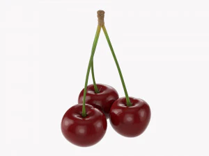 Cherry Triple 3D Model