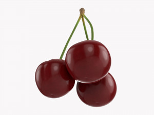Cherry Triple 3Dモデル