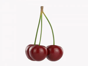 Cherry Triple 3D Model