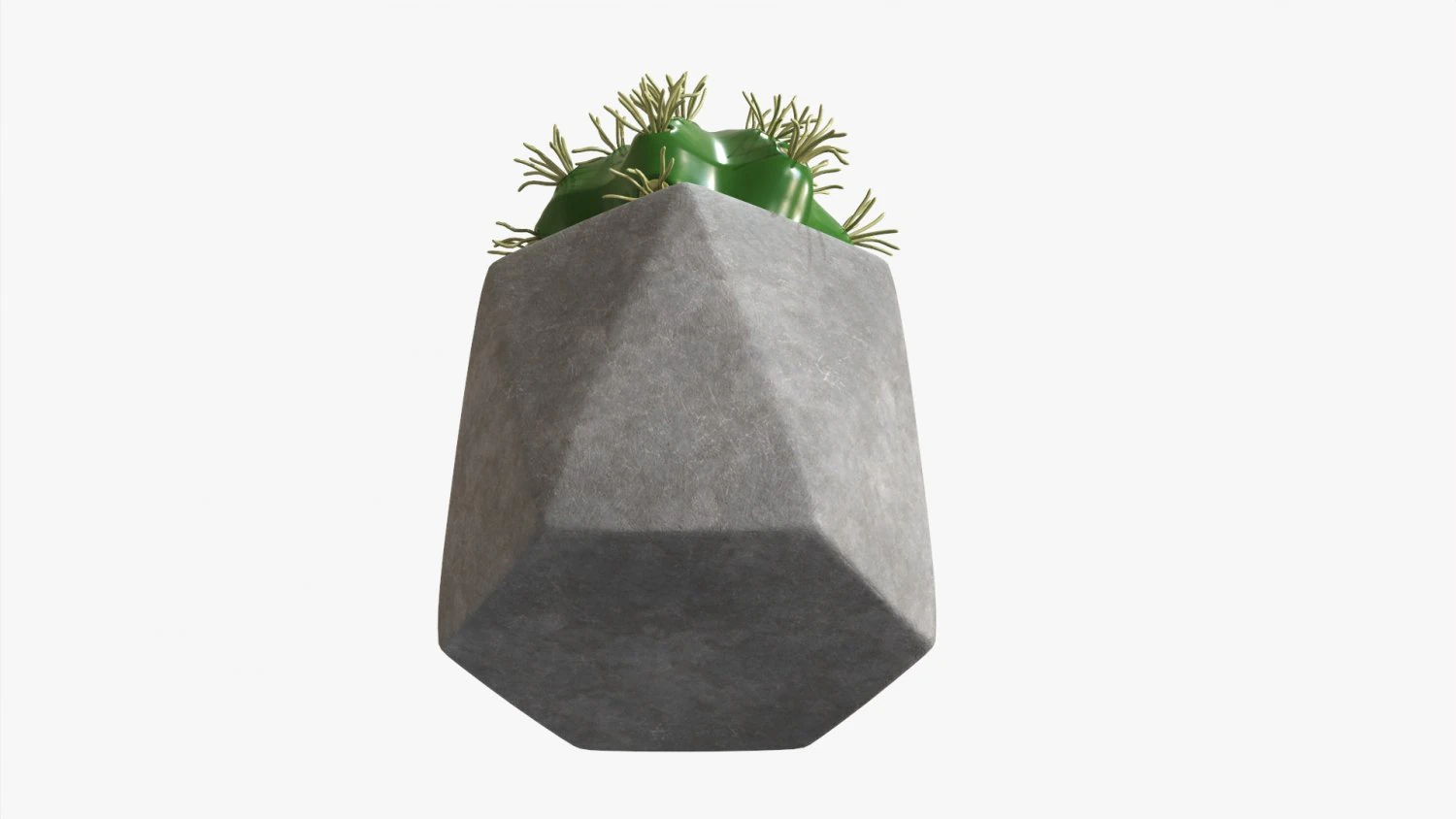 Decorative Potted Plant 09 3D Model .c4d .max .obj .3ds .fbx .stl .blend