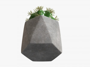 Decorative Potted Plant 09 3D Model