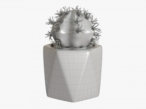 Decorative Potted Plant 09 3D-Modell