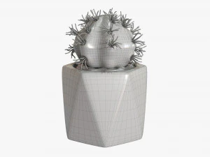 Decorative Potted Plant 09 3D Model