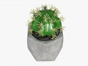 Decorative Potted Plant 09 3D Model