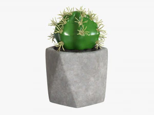 Decorative Potted Plant 09 3D Model