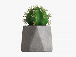 Decorative Potted Plant 09 3D-Modell
