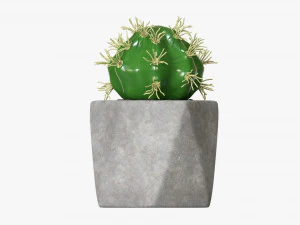 Decorative Potted Plant 09 3D Model