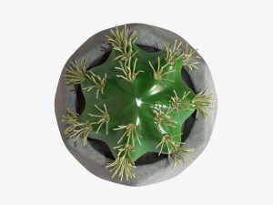 Decorative Potted Plant 09 3D-Modell