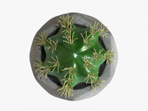 Decorative Potted Plant 09 3D Model