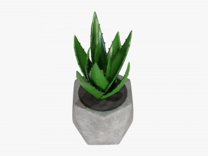 Decorative Potted Plant 10 3D Модель