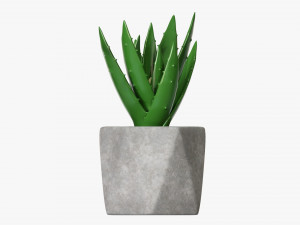 Decorative Potted Plant 10 3D Модель