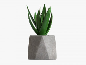 Decorative Potted Plant 10 3D Модель
