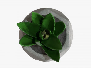 Decorative Potted Plant 10 3D Модель