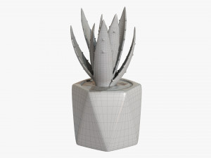 Decorative Potted Plant 10 3D Модель