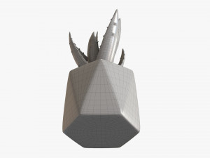 Decorative Potted Plant 10 3D Модель